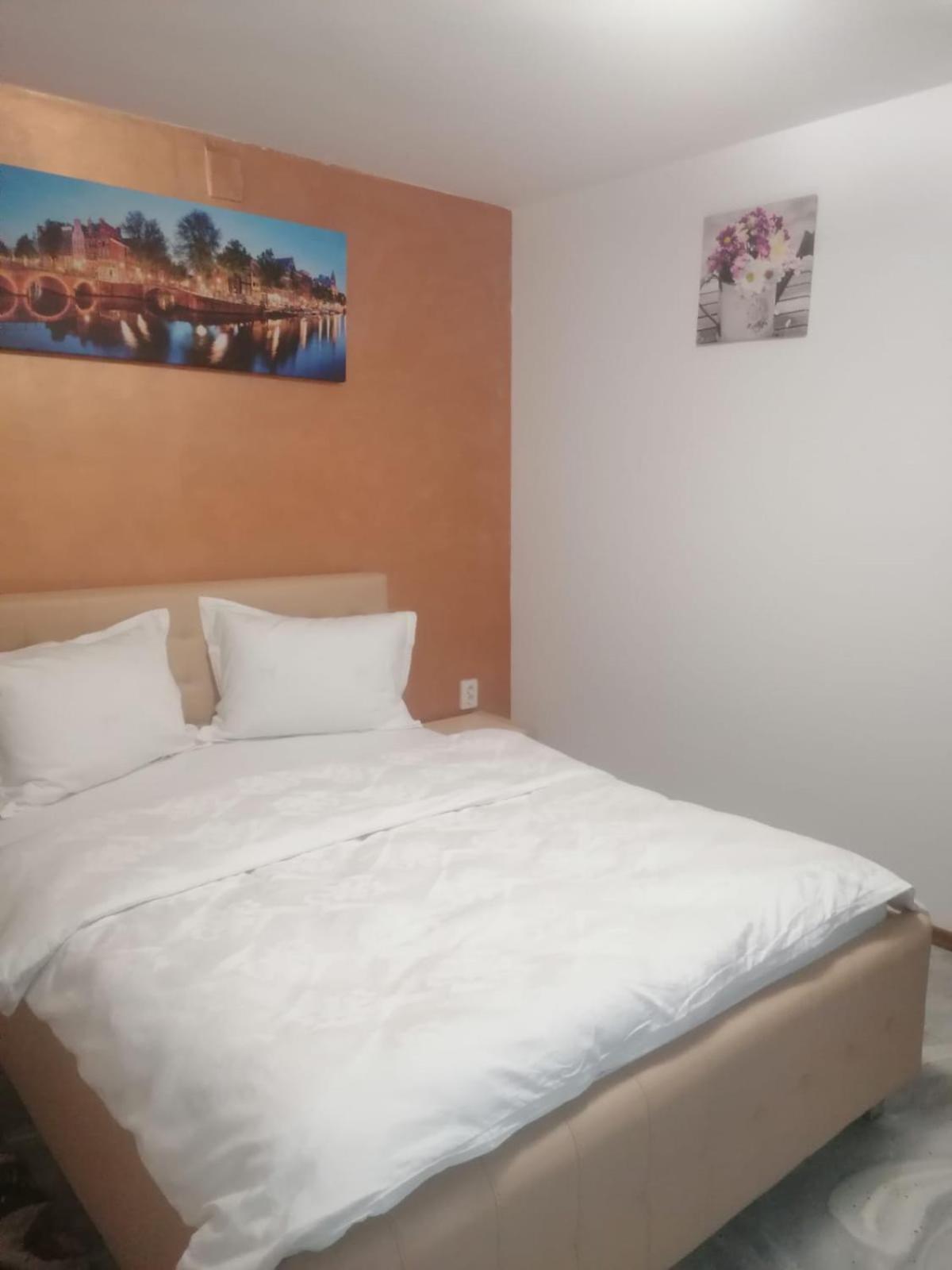 Casa Muresan Cluj Napoca Bagian luar foto